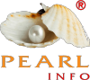 Add PearlInfo Pvt. Ltd. logo